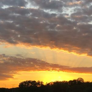 Meet your Posher, Sandi